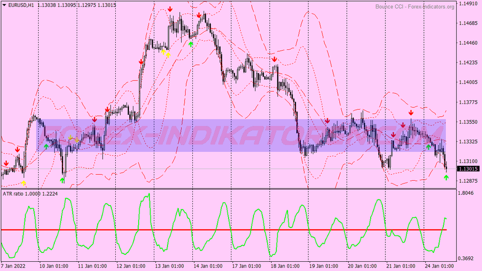 Range Market System für MT4