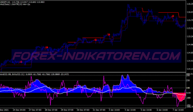 Renko Adaptive System für MT4