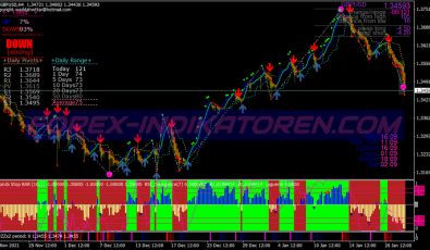 Rider Evo System für MT4