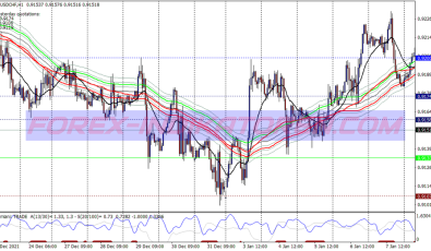 River Modified System für MT4