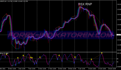 Rsx Rnp Divergence System für MT4