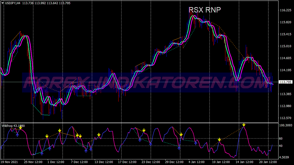 Rsx Rnp Divergence Trading System