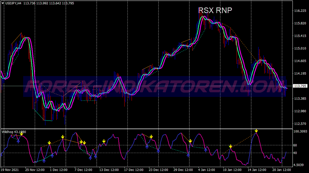 MT4를 위한 Rsx Rnp 다이버전스 트레이딩 시스템