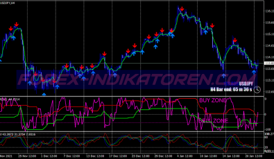 Rsx Williams Percent Range Binary Options System für MT4