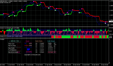 Sensor Buy Sell Swing System für MT4