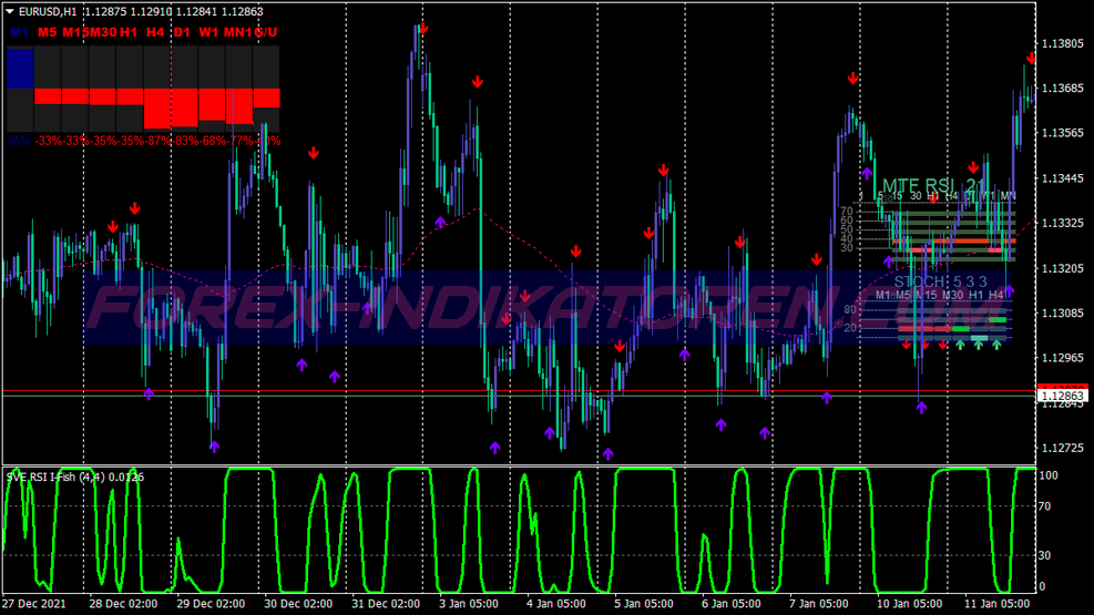 Steenmarter Binary Options System für MT4