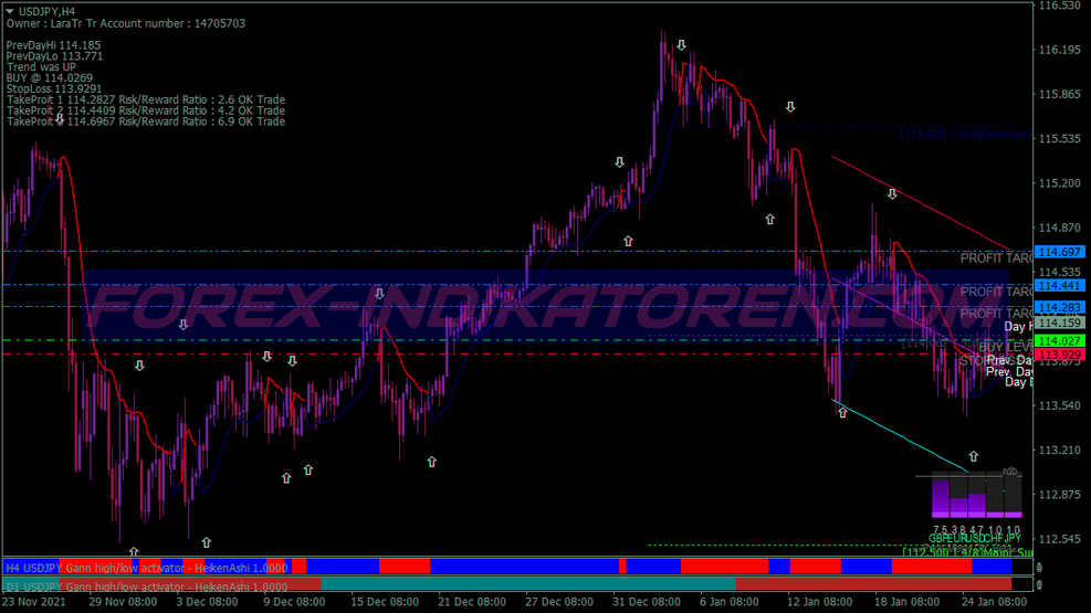 Strike Gann Swing System für MT4
