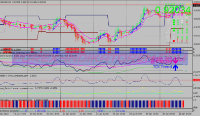 Synergy Pro System für MT4