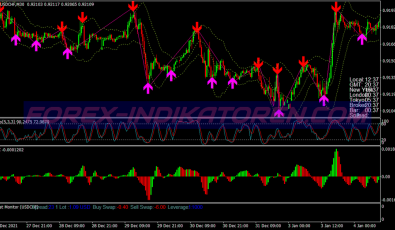 Terminator Signals System für MT4
