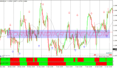 Torgo Modified Swing System für MT4