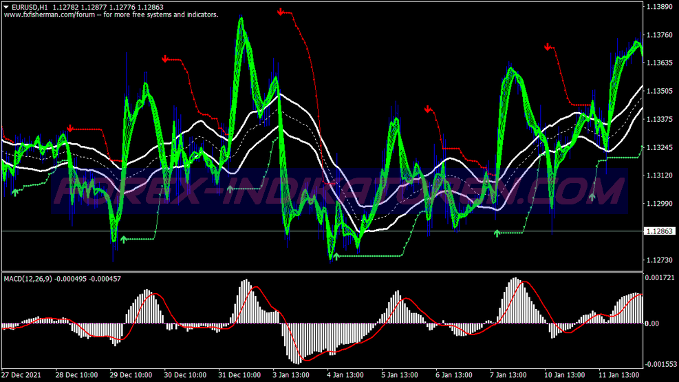 Trend Catching Modified Trading System für MT4