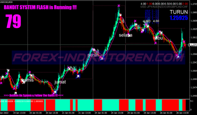 Trend Session Swing System für MT4