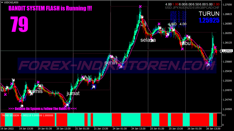 Trend Session Swing Trading System für MT4