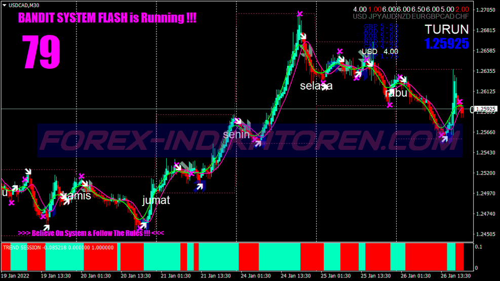 Trend Session Swing Trading System for MT4