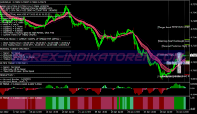 Wss Final Version Swing System für MT4
