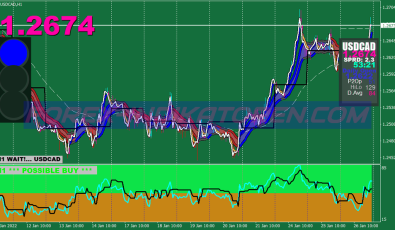 Xard777 Gold System für MT4