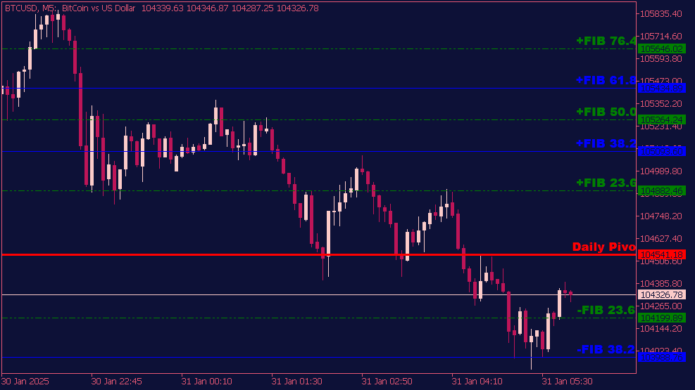 Indicador diario de puntos pivote de Fibonacci para MT5